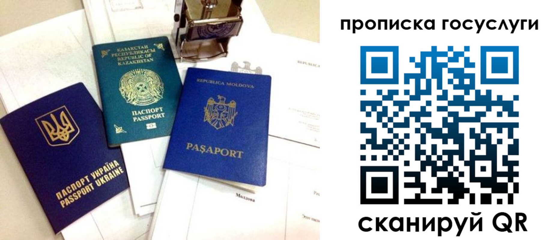 купить прописку в Александровске