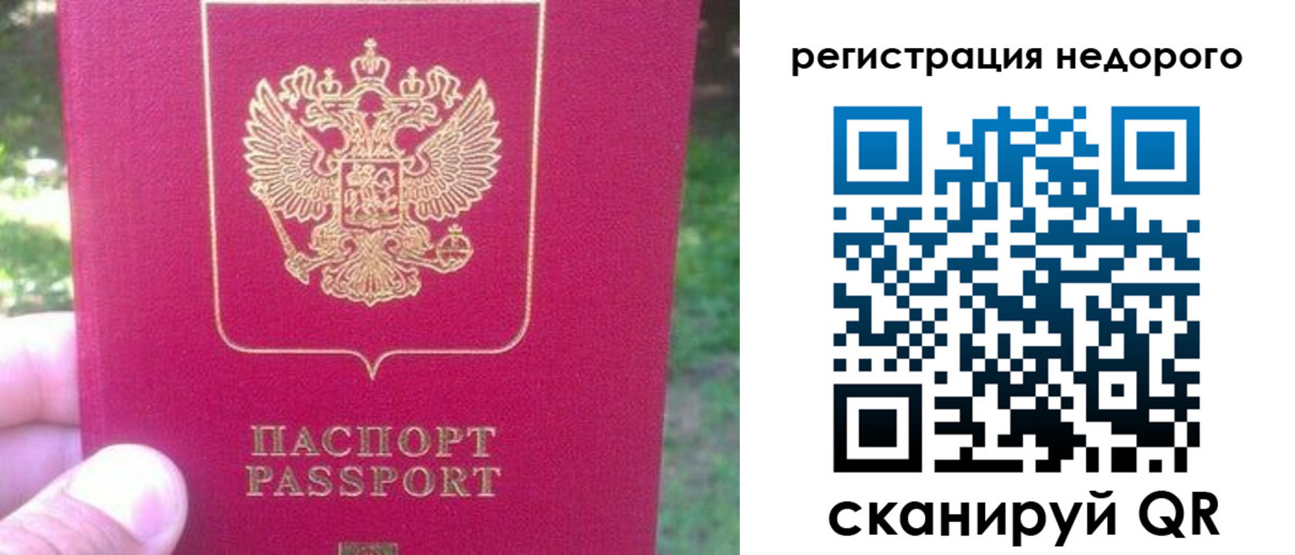 миграционный учет в Александровске